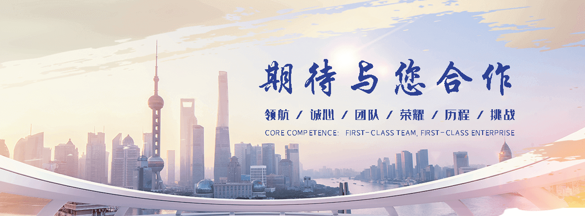 阜阳电子地磅